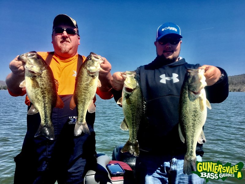 Erleben Sie den großen Fischfang mit Big Bass Splash bei Pragmatic Play in, big bass splash